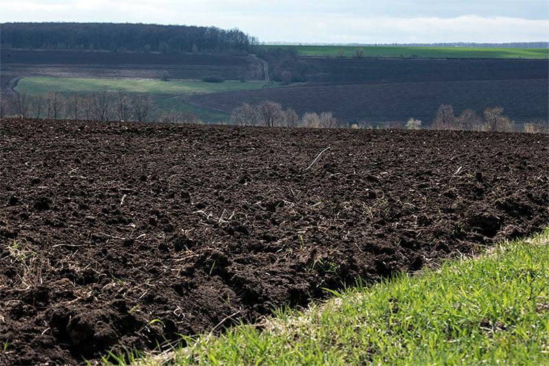 Ілюстрація до вірша 317