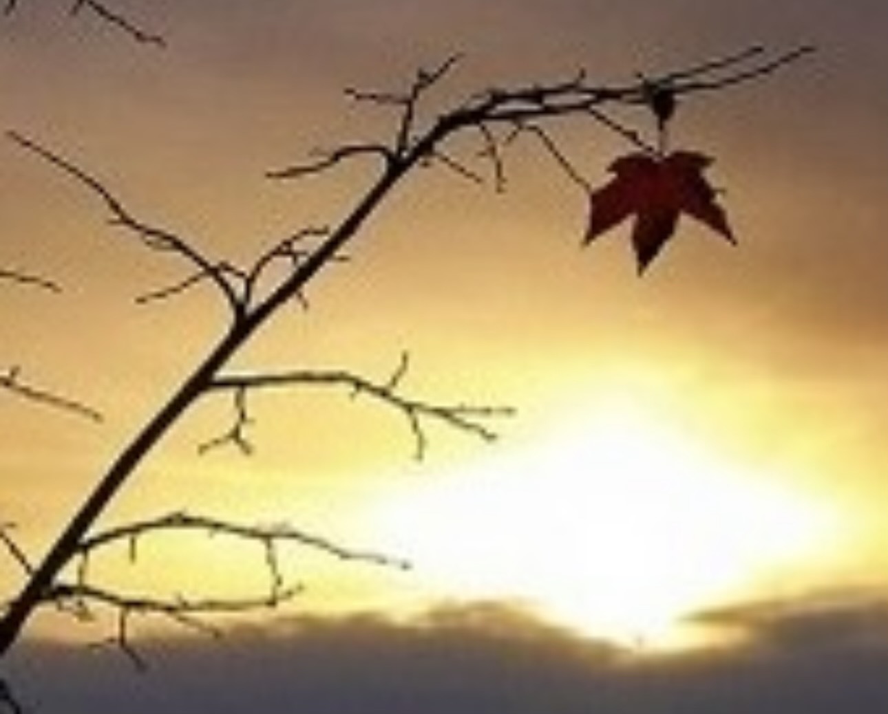 Ілюстрація до вірша 741