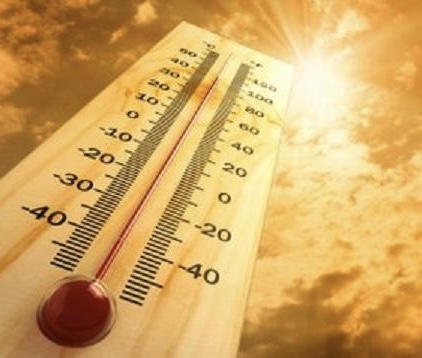 Ілюстрація до вірша 795
